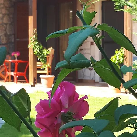 Villa George Afytos